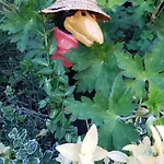 Am Marsfeld By Interhome Borkheide