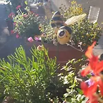 Am Marsfeld By Interhome *