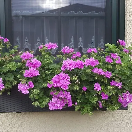 Am Marsfeld By Interhome