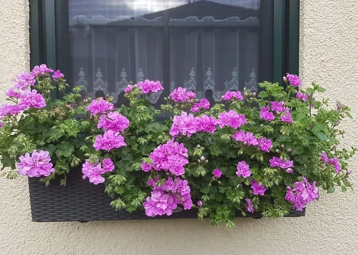 Am Marsfeld By Interhome