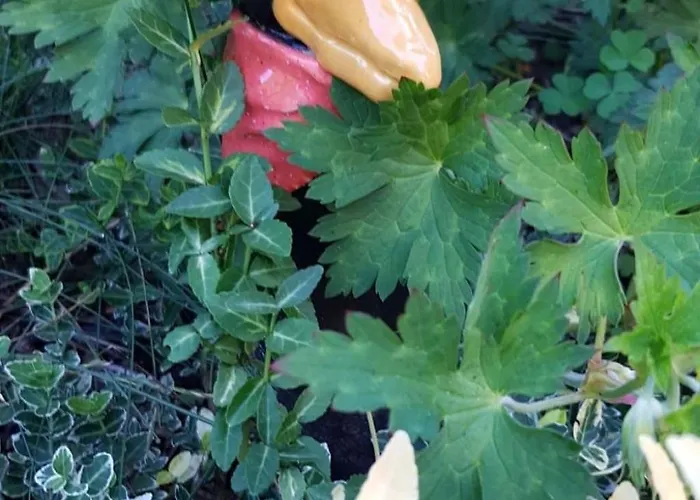 Am Marsfeld By Interhome Borkheide